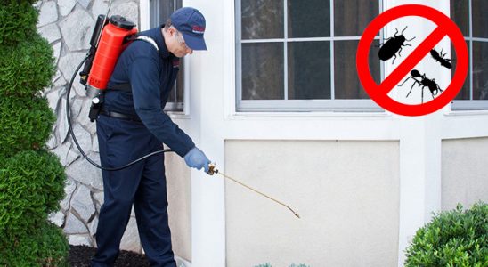 Araklı Karınca İlaçlama böcek ilaçlama ve haşere kontrolü — ilaclama-tr.com